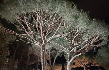 Villa Vista Bonita - Foto 10