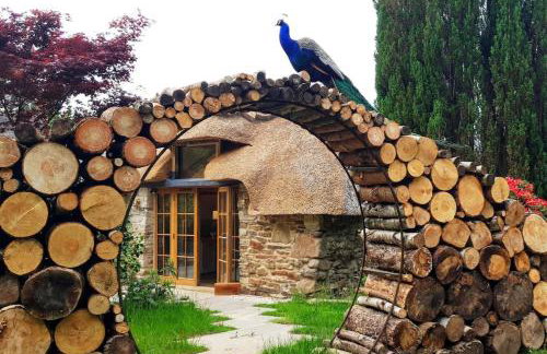 Little Thatch - Foto 14