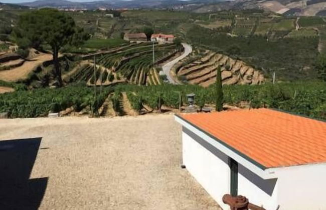 Quinta dos Espinheiros - Foto 32