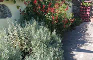 Casa do Plátano - Photo 67