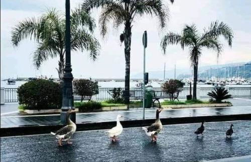 La casetta di Ulisse Minicasa per amici - Foto 66