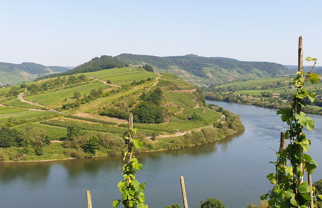 Tante Agnes - Foto 39