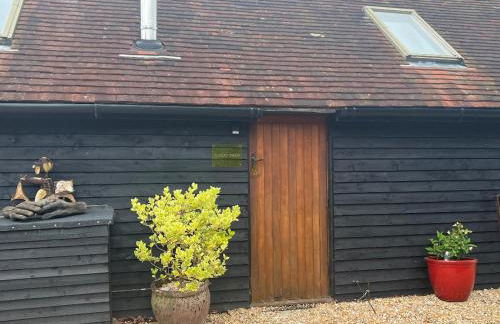 Quirky Barn Conversion Crowhurst Battle - Foto 32