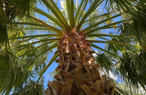 Villa Βianca in Sithonia - Foto 62