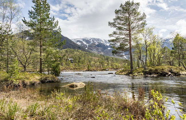 Myravatnet - Foto 35