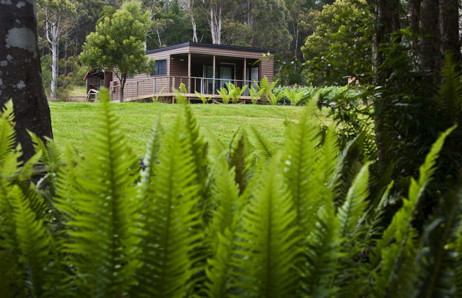 Tyenna River Cottage - Foto 11