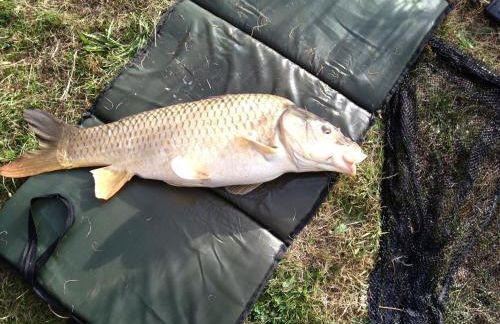 Meadow Lodge - Foto 16