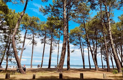 Palm Appart - Foto 13