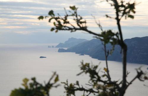 Agriturismo Mare e Monti - Foto 50