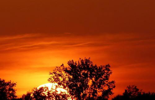 Amselgarten - Foto 64