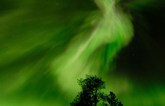 Tour de la aurora boreal en raquetas de nieve - Foto 5