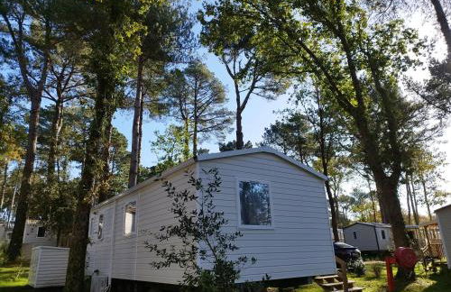 Ô Coeur d'Eden ,2 mobilhomes l'Ôriginal et le BÔ'Aime - Foto 10