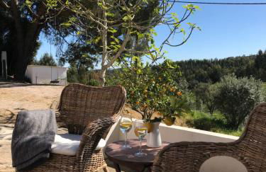 Monte do Pereiro - Foto 72