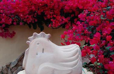 Sa Corte Antiga - Foto 34