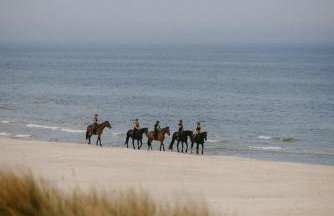 Domki Ulkowo - Foto 7