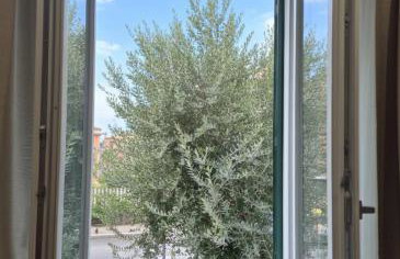 Olive tree's house - Foto 27
