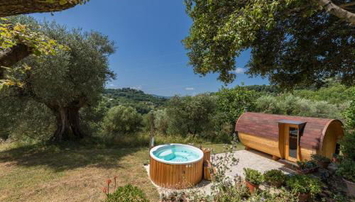 Montebello degli Olivi - Foto 3, Garden