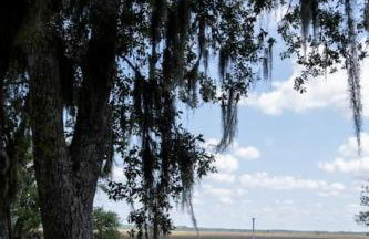 Cypress Landing - Foto 6