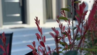 Grigoriou apartments - Foto 2