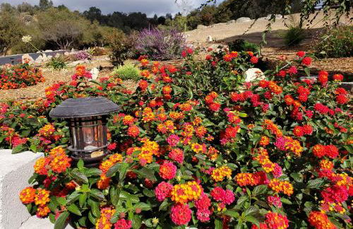 Yosemite Foothill Retreat - Private Guest Suite #3 - Foto 29