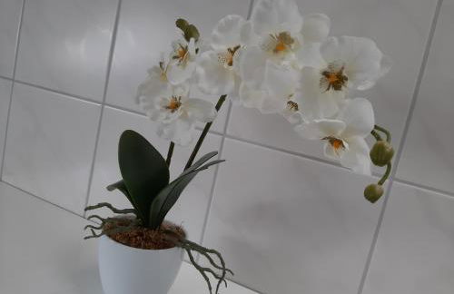 Fewo beim Schmied Straßkirchen - Foto 14