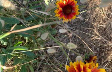 Villa des Braves in Omaha Beach, sea view - Foto 39
