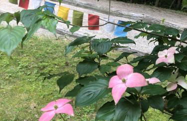 Quiet Lake home 3 mi from Camden! - Foto 31