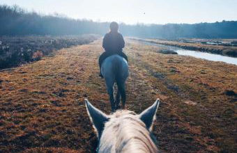 Le Vendalivet - Foto 22