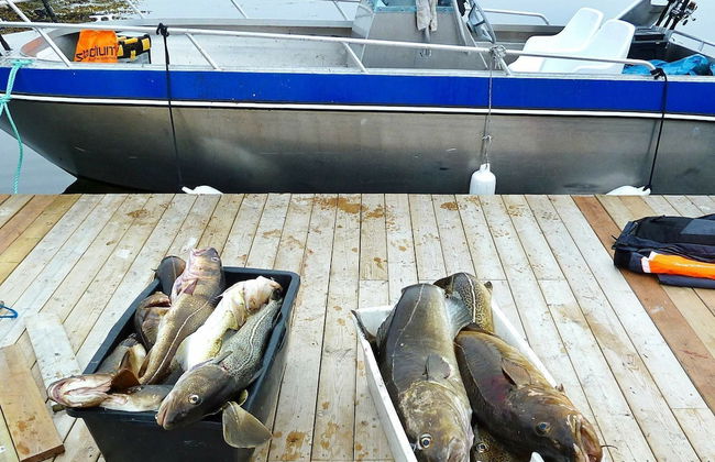 5 Person Holiday Home in Vandve - Foto 16