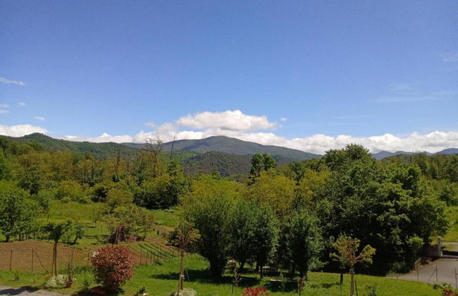 Apartment in Cut Monferrato With Garden - Foto 37