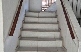 Fernando Guilhon - Foto 13