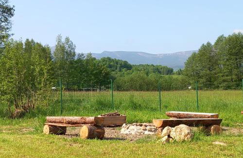 Dolina Sosny - Foto 16