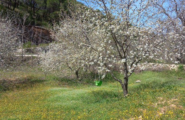 Immaculate 2-bed Cottage Near Krka Waterfalls - Foto 9