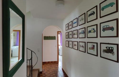 große Wohnung mit Dachterrasse - Foto 20