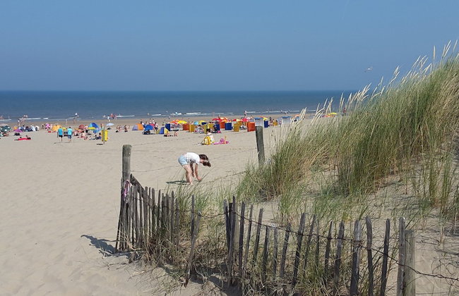 Holiday Home Near Noordwijk Beach - Foto 35