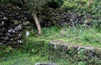 Casas Goulart - Photo 26