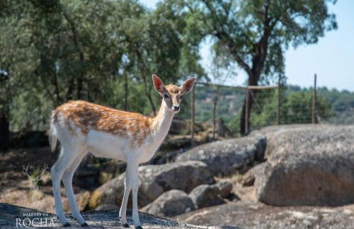 Herdade da Rocha - Boutique Lodge - Foto 53