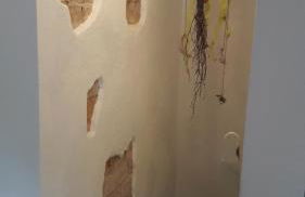 Schrammi's Ferienwohnung - Foto 50