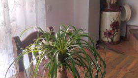 El Balcón de Villapresente - Foto 2