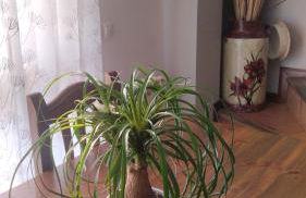 El Balcón de Villapresente - Foto 2