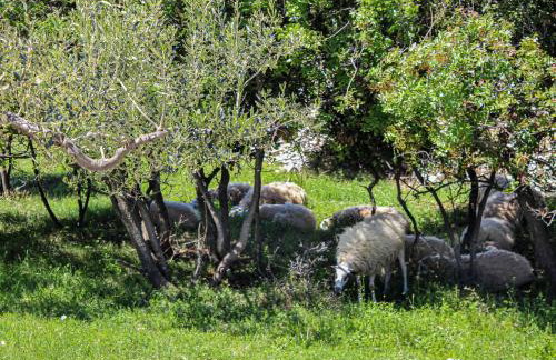 Holiday Home Dubrove by Interhome - Foto 60