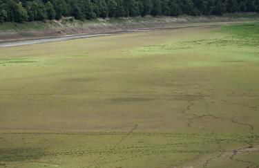 Ferienwohnung Am Wäldchen - Foto 26