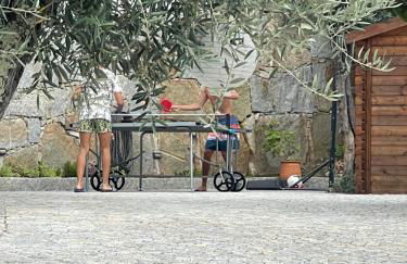 Casa da nascente douro - Foto 58