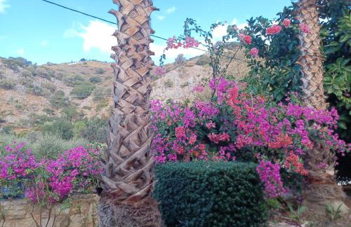 Heraklion Comfy House with Mountain View - Foto 39