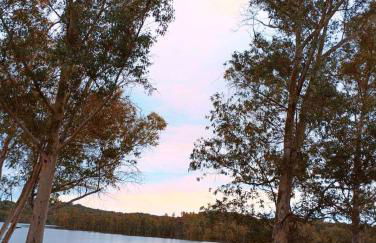 El Rinconcito - Foto 37