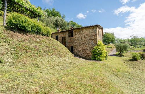 Fattoria di Pietrabuona - Photo 10