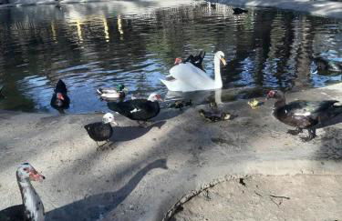 Pórtico Mediterráneo - Foto 38