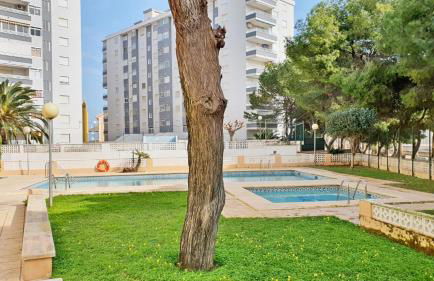 EUROPA I - Playa de Miramar - Foto 10