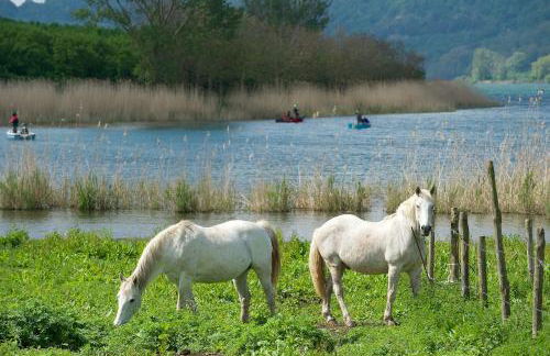 Cottage Beach Vico - Foto 13