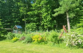 Green Zone - Foto 28